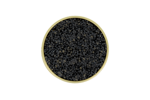 Hackleback Caviar Tin