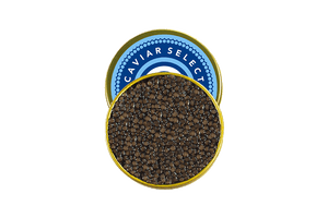 Siberian Sturgeon Caviar