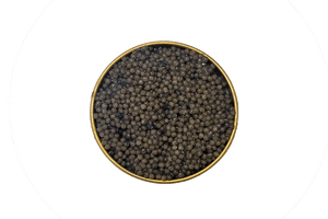 American Paddlefish Caviar