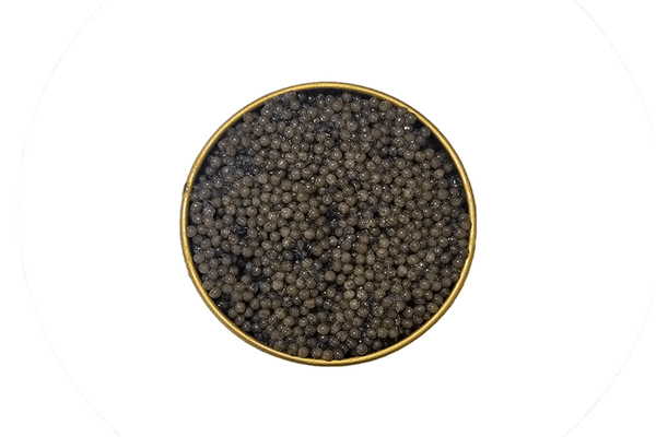 American Paddlefish Caviar