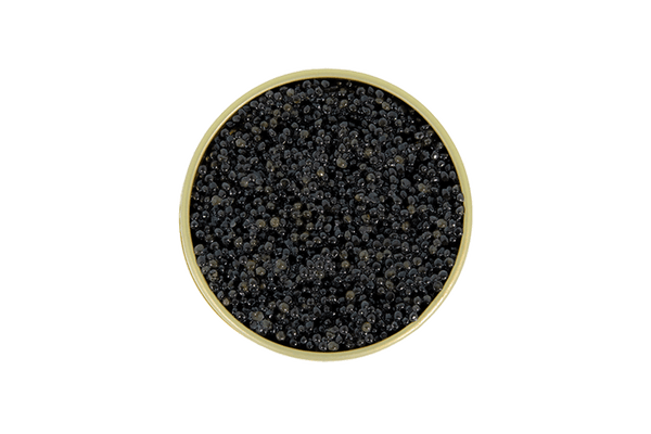 Hackleback Caviar Tin
