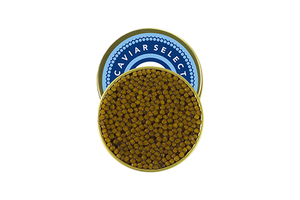 Osetra Caviar