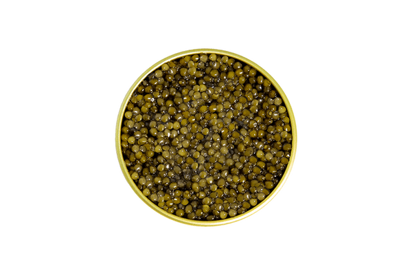 Osetra Hybrid Caviar