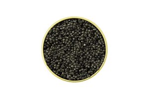 Sevruga Caviar NYC