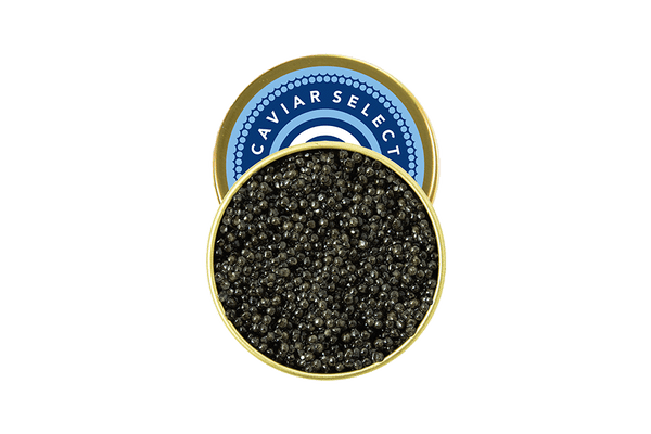 sevruga-caviar