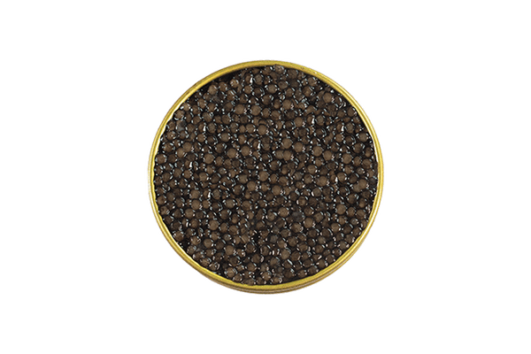 Siberian Osetra Caviar 