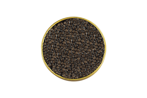 Siberian Osetra Caviar 