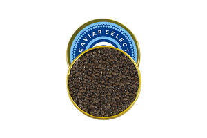Siberian Sturgeon Caviar 
