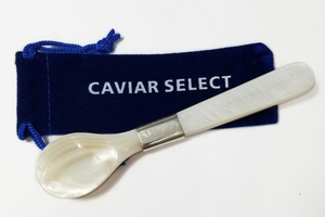 Silver Tip Mother of Pearl Caviar Spoon with Case