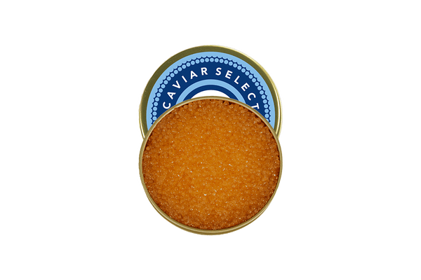 Buy Golden Whitefish Caviar Online, Best American Caviar New York